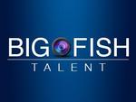 
    New Big Fish Talent Website